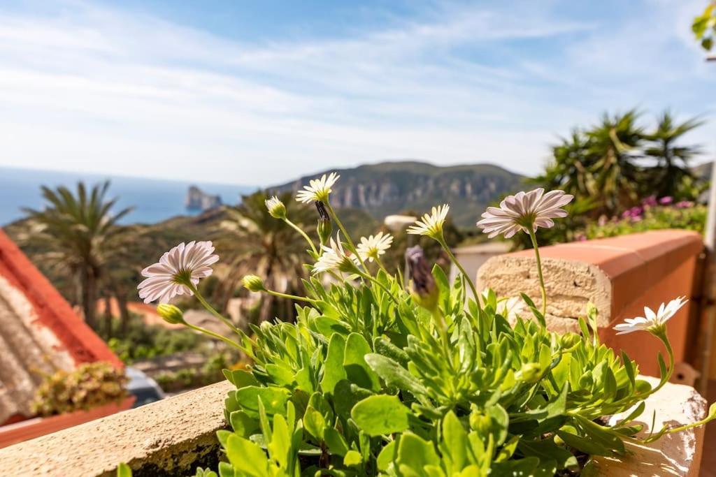 Vista Sul Pan Di Zucchero - Nebida - Holiday House Ngoại thất bức ảnh